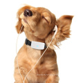 WiFi + GPS + LBS Positionnement Adsorption Charge Tk911 Pet Cat et chien GPS Suivi Locator Collier de chien